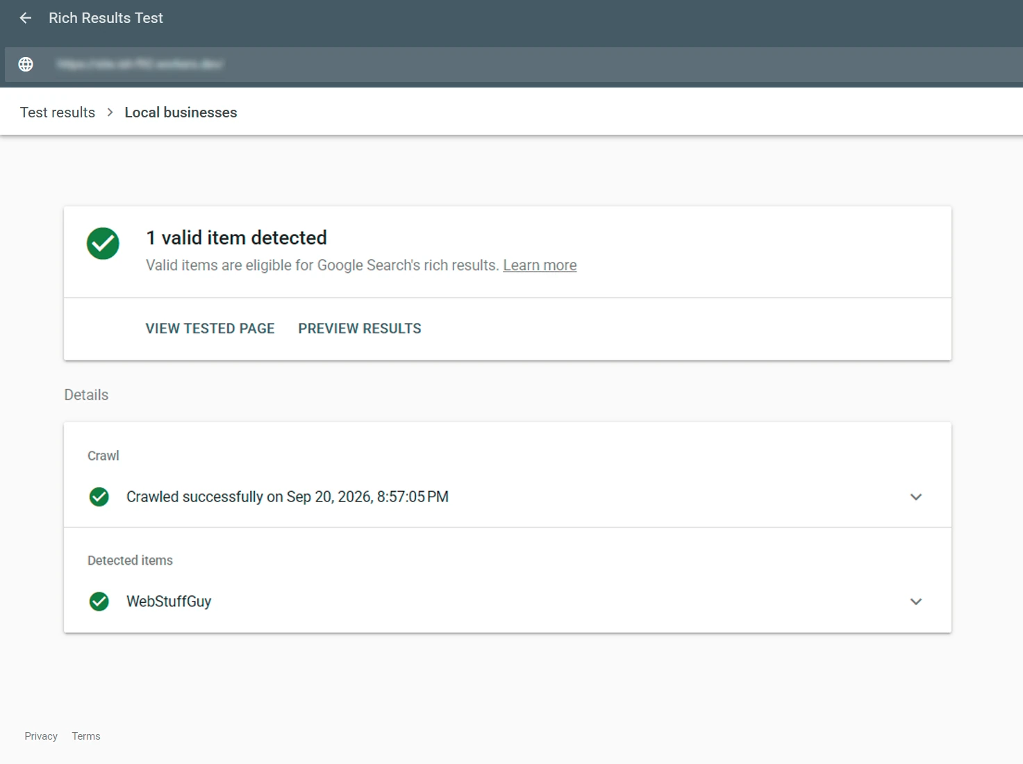 Google's Rich Results Test showing valid LocalBusiness structured data
